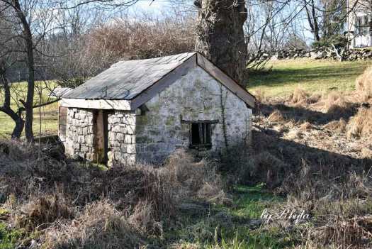 dsc_0007_20190106_1509