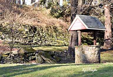 dsc_0011_20190106_1532