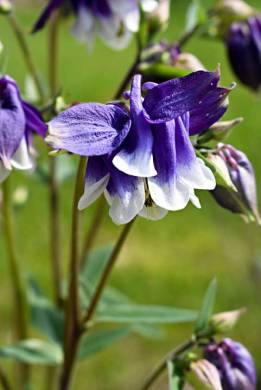 DSC_0009_20180510_1023